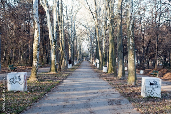 Obraz Winter Park in Belgrade