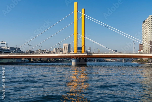 Obraz 東京　隅田川界隈の風景