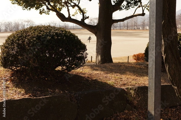 Fototapeta 公園のグラウンド