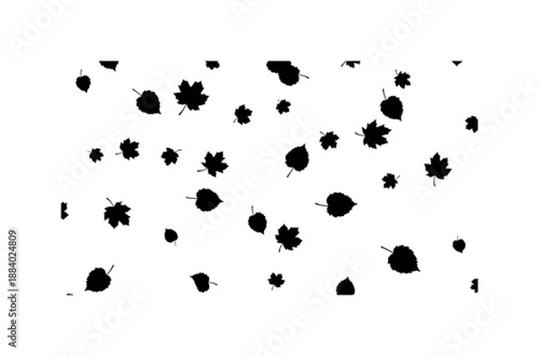 Obraz Abstract Black and White Leaf Pattern