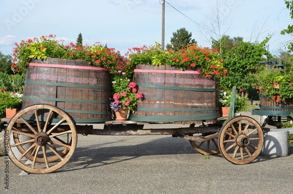 Fototapeta Rydwan kwiatów