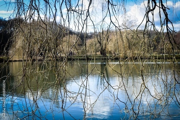 Obraz View Through Trees