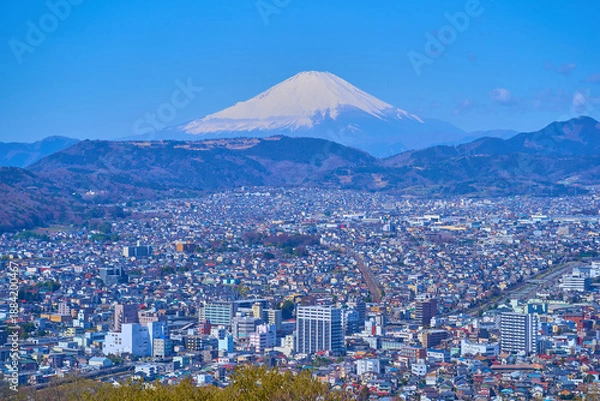 Obraz 春の神奈川県秦野市の弘法山公園の権現山展望台から西側の眺望(秦野市街,富士山など)
