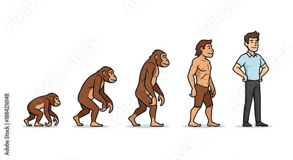Obraz Human Evolution Funny Photo