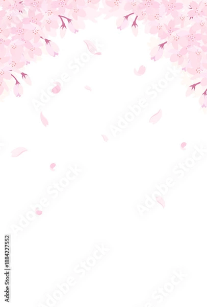 Fototapeta 満開の桜のイラスト_縦1