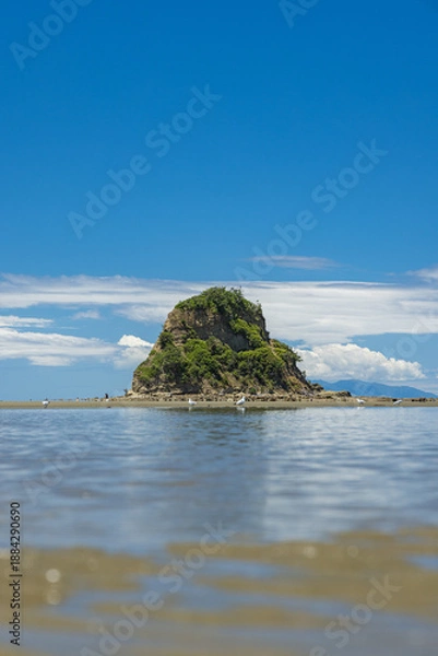 Fototapeta ニュージーランド　オークランド地方にあるワイウェラのビーチから見えるマフランギ島