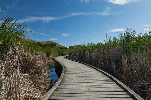 Fototapeta ニュージーランド　ホークス・ベイ地方にある湿地保護区のペカペカ・リージョナルパーク