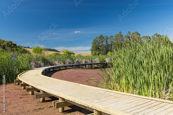 Fototapeta ニュージーランド　ホークス・ベイ地方にある湿地保護区のペカペカ・リージョナルパーク