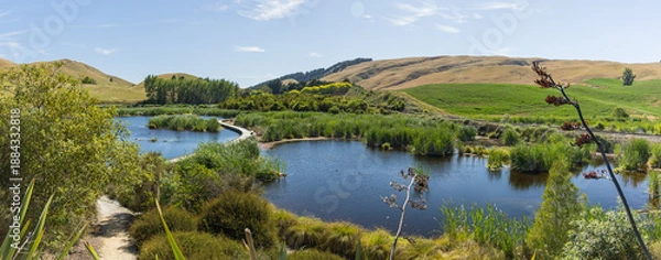 Fototapeta ニュージーランド　ホークス・ベイ地方にある湿地保護区のペカペカ・リージョナルパーク
