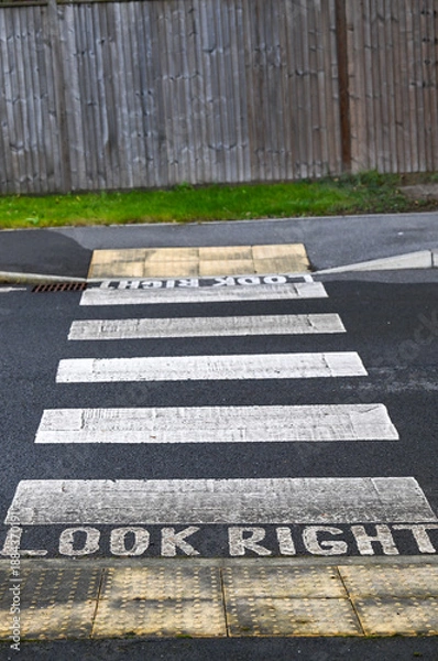 Obraz Zebra crossing