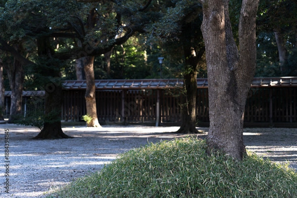 Obraz 日本の神社：神聖な森林と建築物と参道（神宮・鳥居）