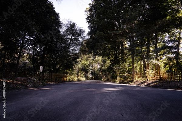 Obraz 日本の神社：神聖な森林と建築物と参道（神宮・鳥居）