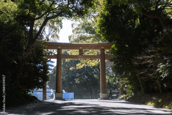 Obraz 日本の神社：神聖な森林と建築物と参道（神宮・鳥居）