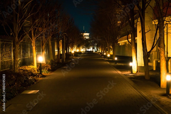 Obraz 綺麗なライトアップが続く夜道