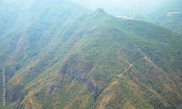 Obraz Green forest landscape. Beautiful view