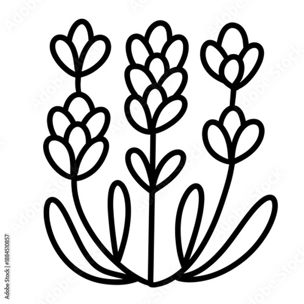 Fototapeta flower vector illustration