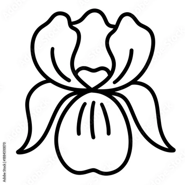 Fototapeta flower vector illustration