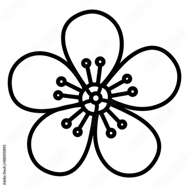 Fototapeta flower vector illustration