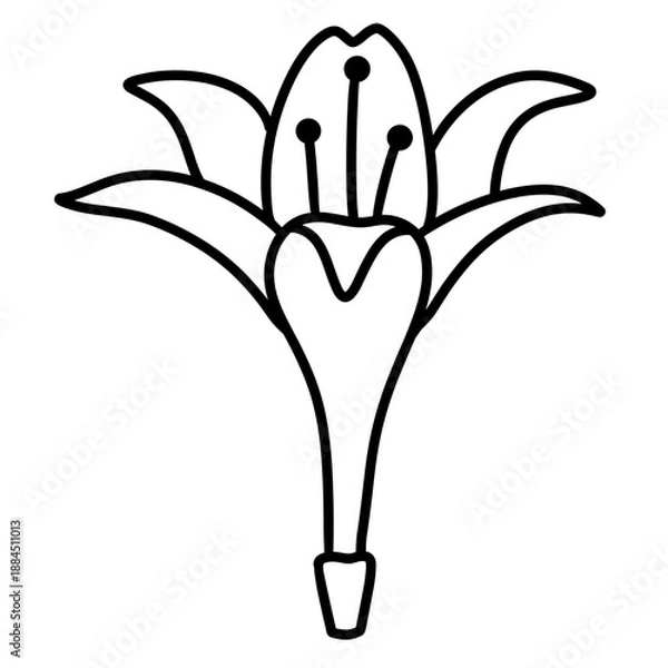 Fototapeta flower vector illustration