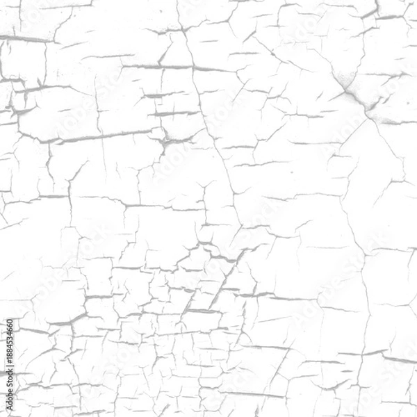 Obraz Cracked texture pattern isolated on white background