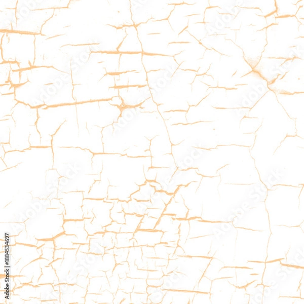 Obraz Cracked texture pattern isolated on white background