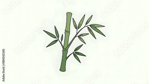 Obraz Simple Green Bamboo Illustration