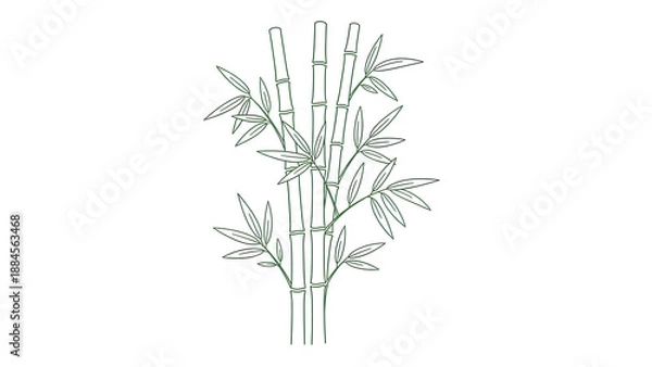 Obraz Simple Green Bamboo Illustration
