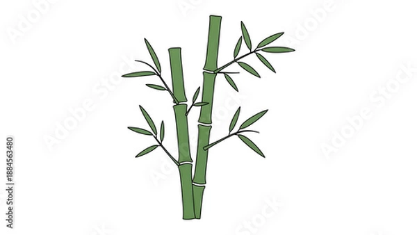Obraz Simple Green Bamboo Illustration