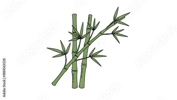 Obraz Simple Green Bamboo Illustration