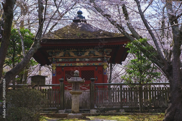 Obraz 三井寺、日本の歴史的なお寺に咲く桜、滋賀、日本