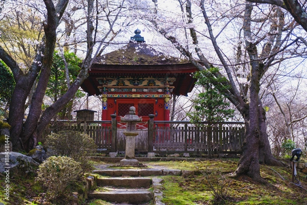 Obraz 三井寺、日本の歴史的なお寺に咲く桜、滋賀、日本