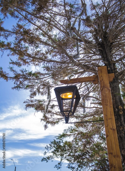 Obraz La luz que dar colores 