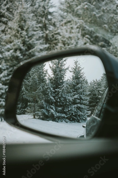 Obraz mirror in the snow