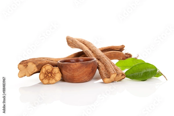 Obraz Ayahuasca background.