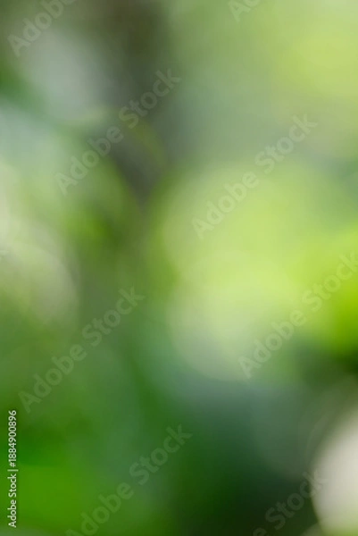 Obraz green bokeh background