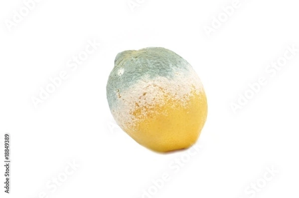 Fototapeta mouldy lemon