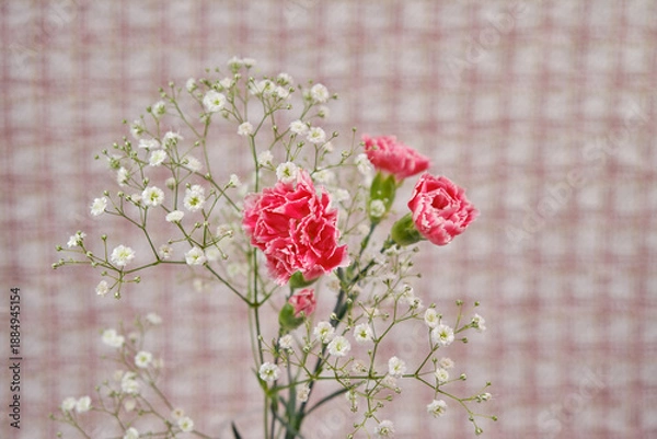 Obraz 綺麗なカーネーションと可愛いかすみ草の花