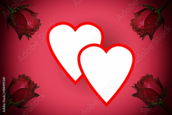 Fototapeta rose red roses valentine background