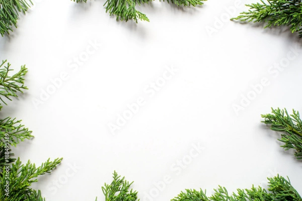 Fototapeta leaf background for text input , isolate