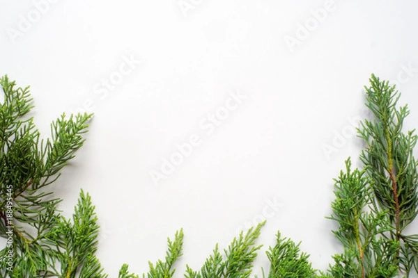 Fototapeta leaf background for text input , isolate