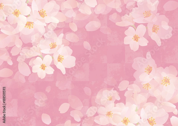 Fototapeta 和柄日本 チェック 桜