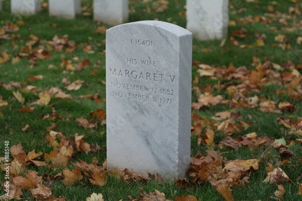 Fototapeta niezapomniany