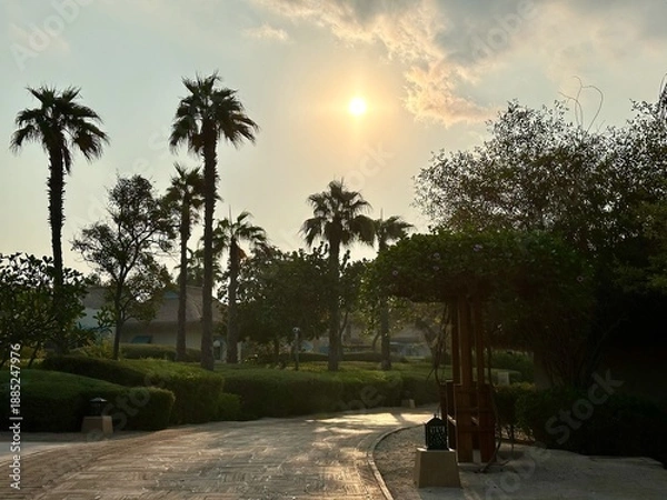 Obraz walk in the park