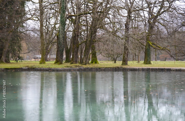 Fototapeta Rainy park