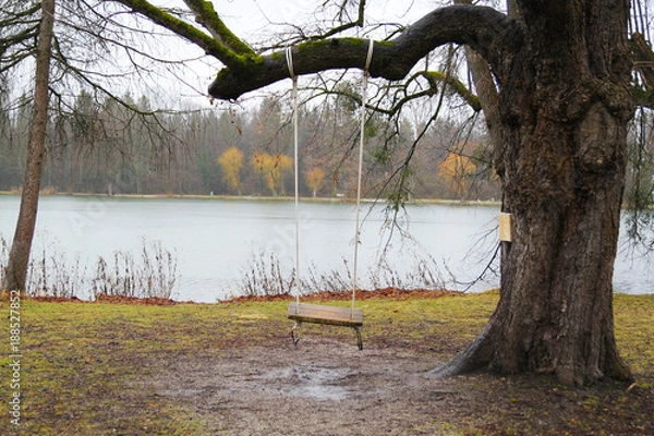 Fototapeta swing on a tree