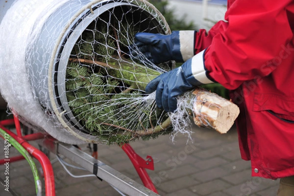 Obraz Christbaumverkauf