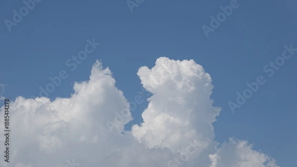 Obraz 美しい夏空