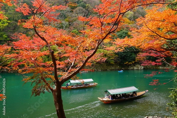 Obraz 京都嵐山の紅葉と屋形船