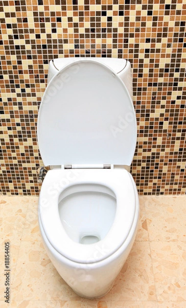 Obraz Lavatory pan