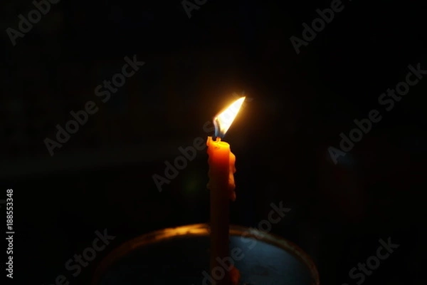 Obraz candle growing in the dark background